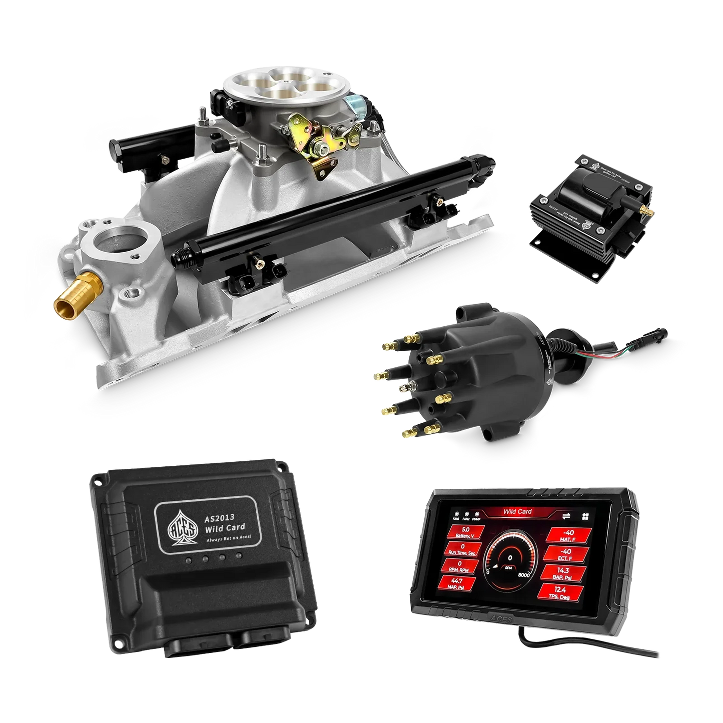 Wild Card 2 EFI - Top End Kits
