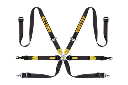 Sabelt Silver Series Enduro Porsche GT2-GT3-GT4 6-Point Racing Harness