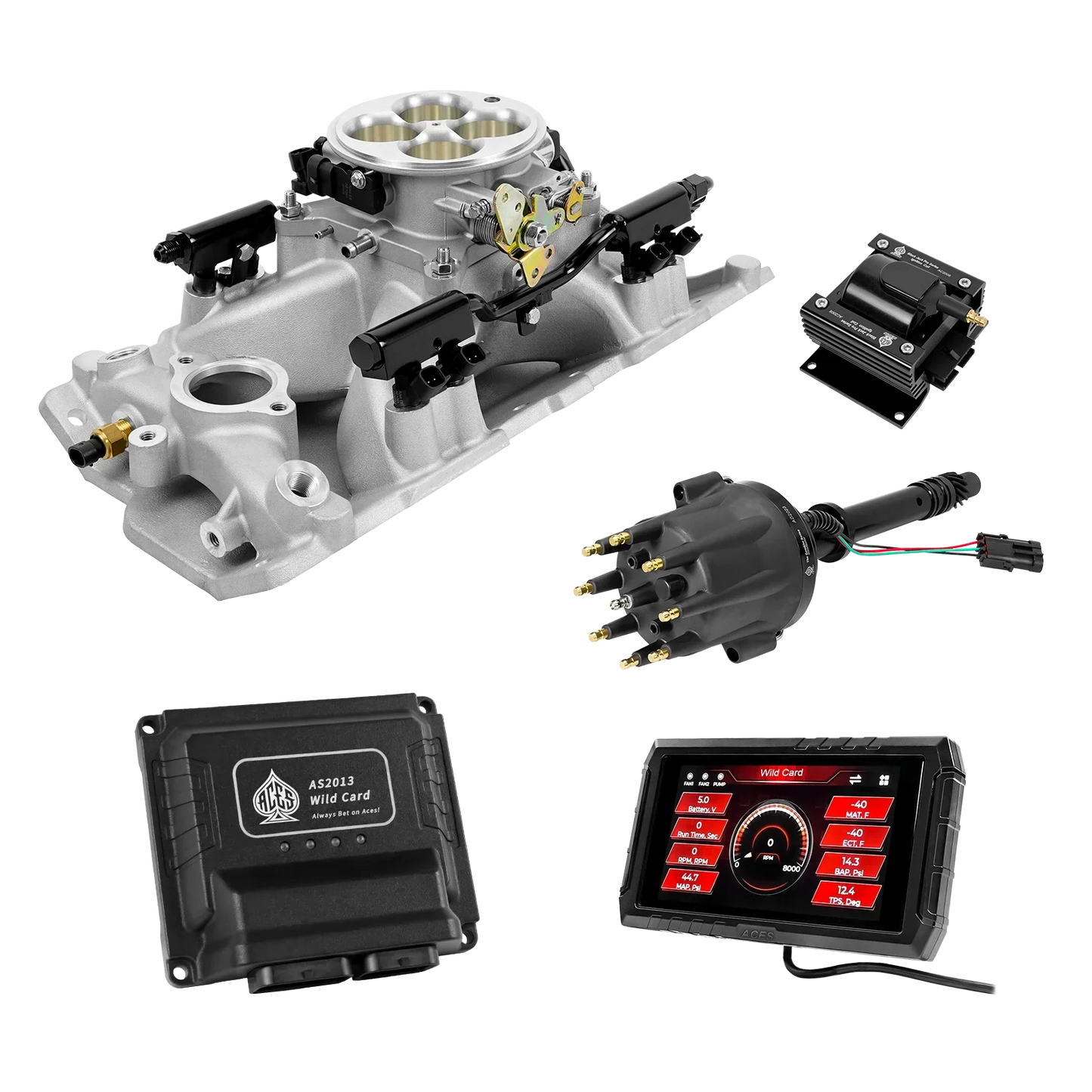 Wild Card 2 EFI - Top End Kits