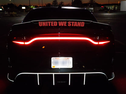15-23 Dodge Charger Taillight Decal Design 11