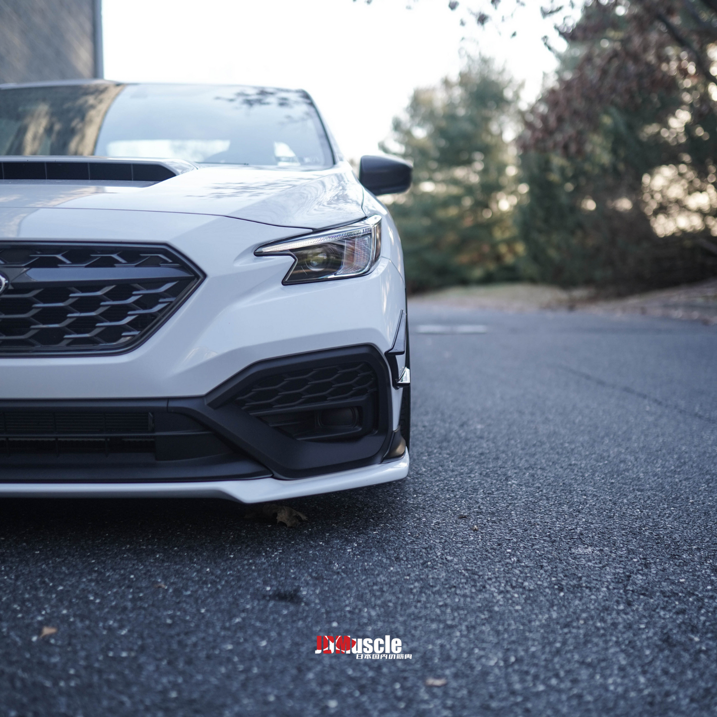 JDMuscle [22-25 WRX] Canards V1 - ABS / Paint Matched / Gloss Black
