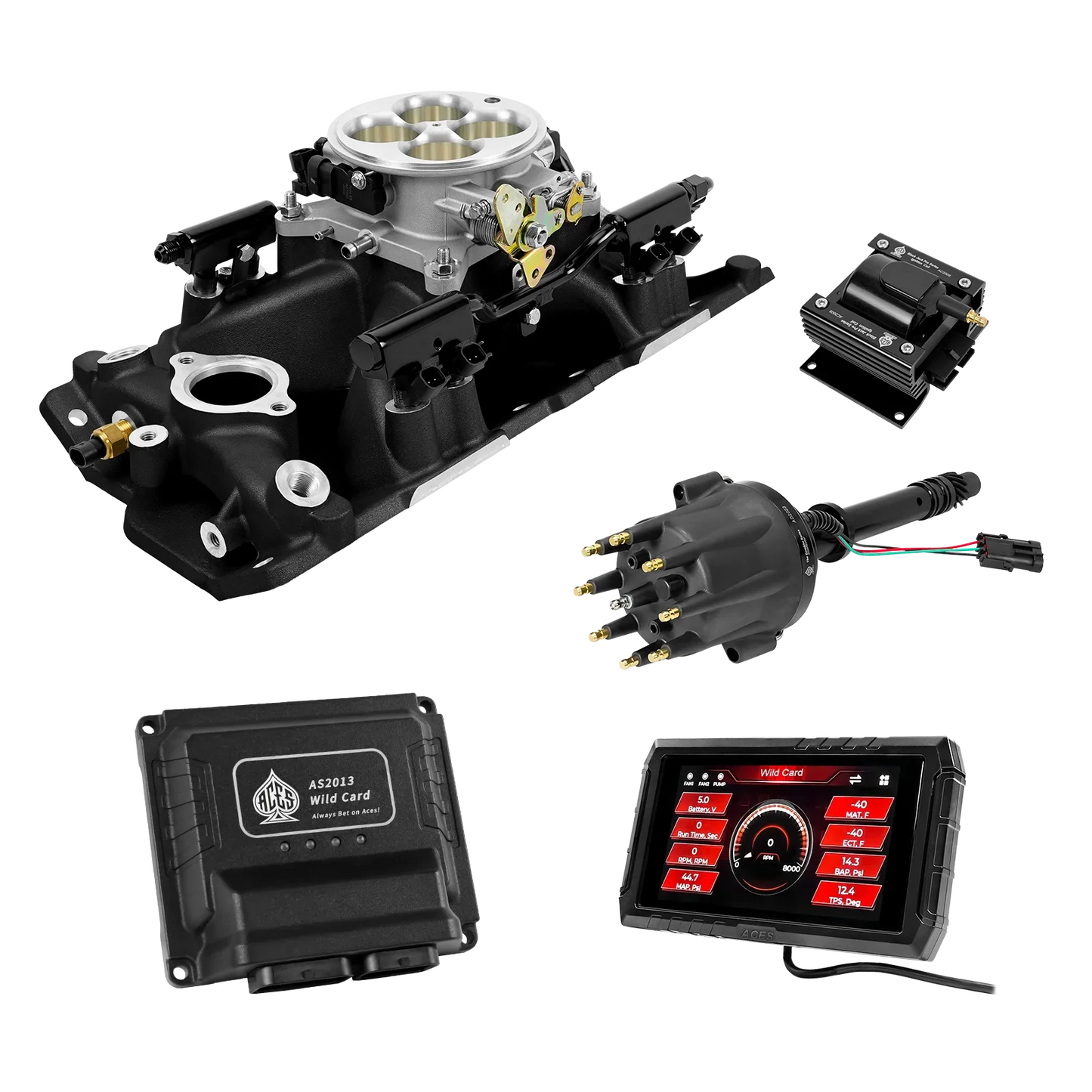 Wild Card 2 EFI - Top End Kits