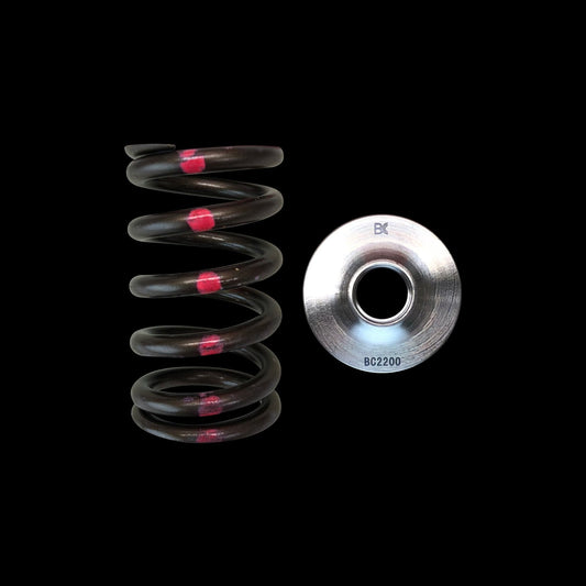 Brian Crower BC0200 - Nissan SR20DE(T) Spring/Titanium Retainer Kit