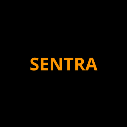 Nissan Sentra Screen ProTech Kit