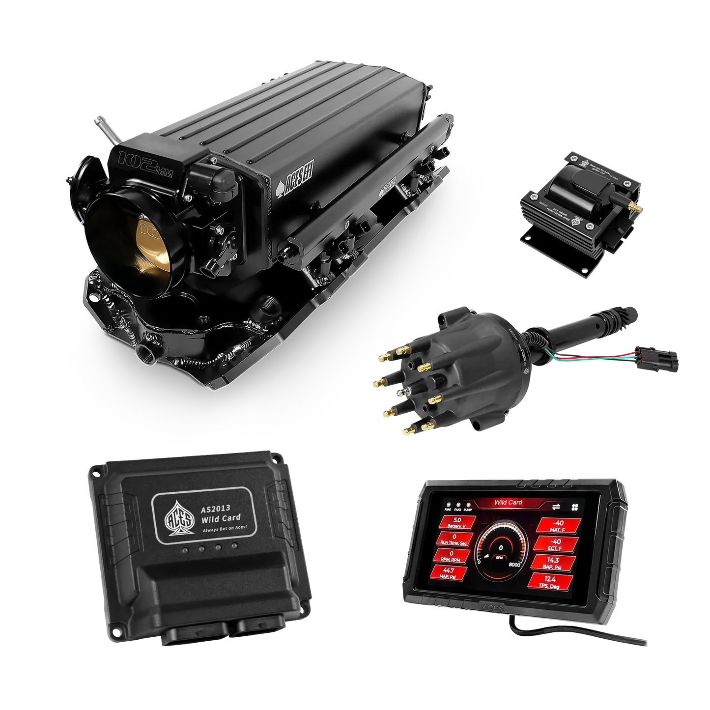 Wild Card 2 EFI - Top End Kits