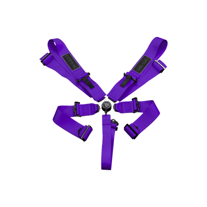 Racing Harness (Comp Spec/5-Point)