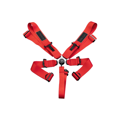 Racing Harness (Comp Spec/5-Point)