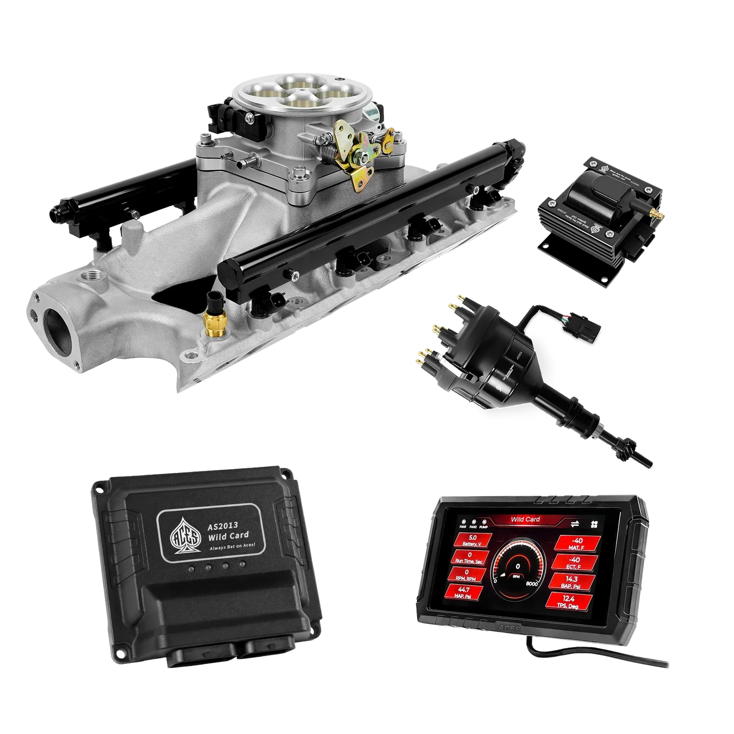 Wild Card 2 EFI - Top End Kits