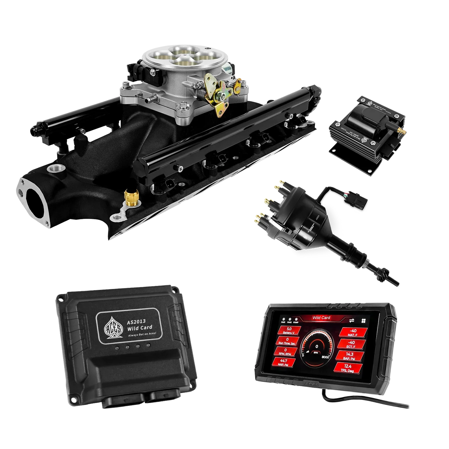 Wild Card 2 EFI - Top End Kits