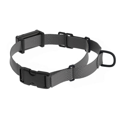 Collar Attachment Clips