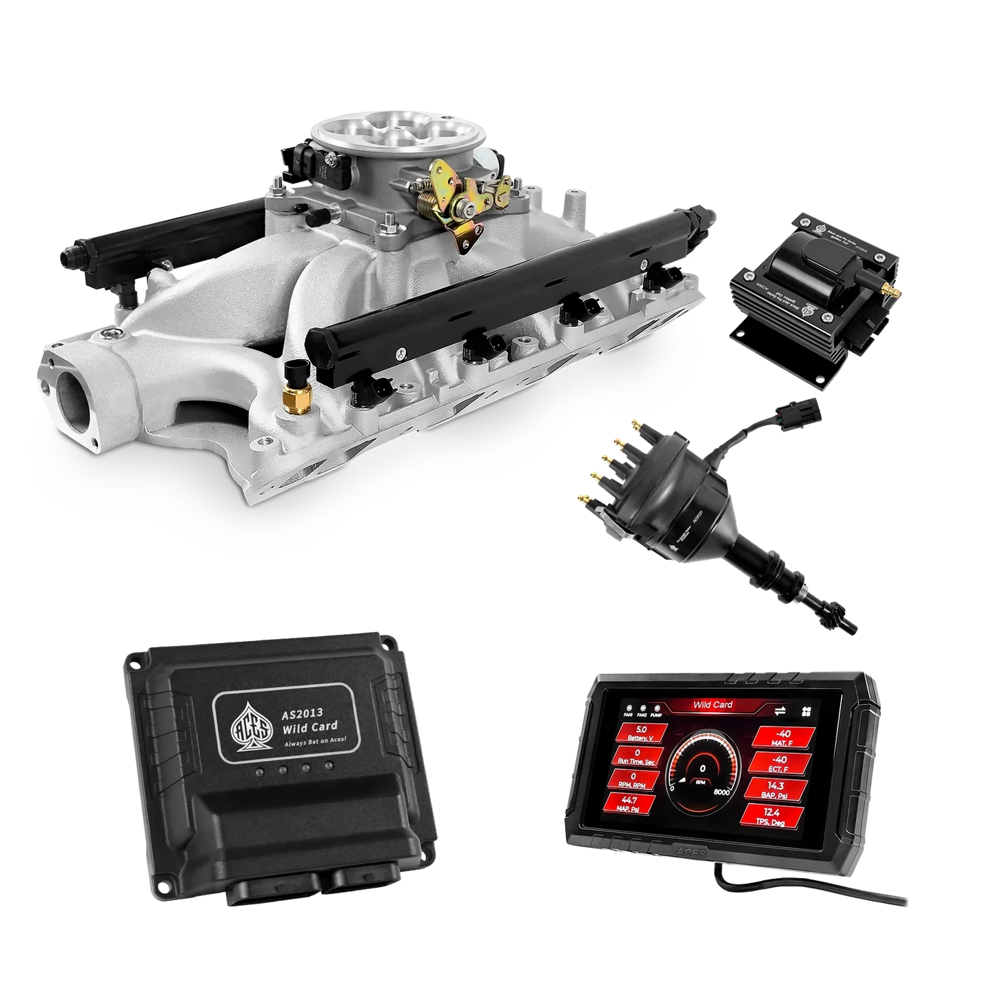 Wild Card 2 EFI - Top End Kits