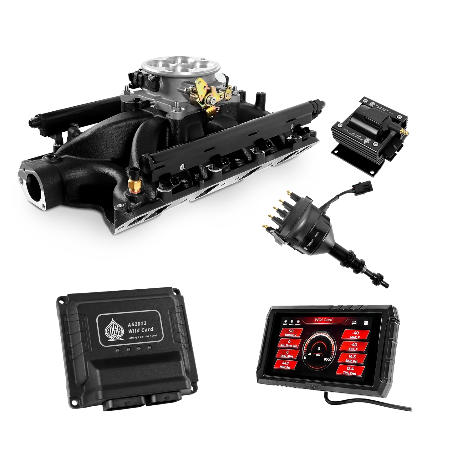 Wild Card 2 EFI - Top End Kits