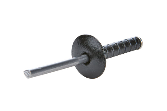 ALL18097 ALLSTAR PERFORMANCE