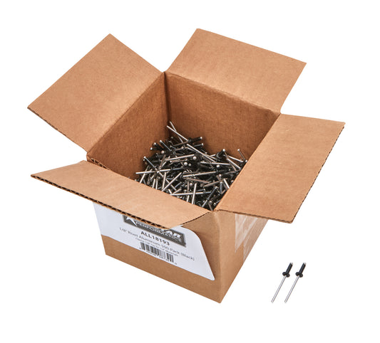 ALL18193 ALLSTAR PERFORMANCE