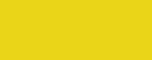 ALL22216 ALLSTAR PERFORMANCE