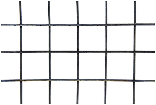 ALL22276 ALLSTAR PERFORMANCE