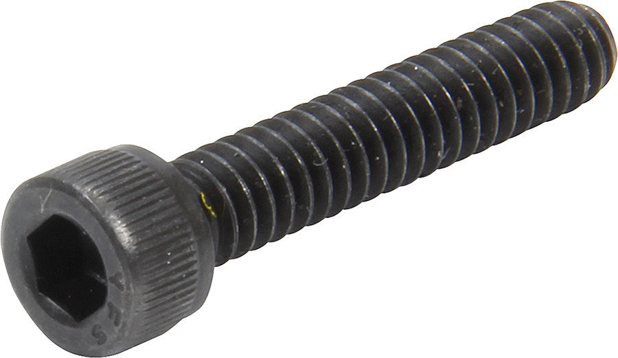 ALL26316 ALLSTAR PERFORMANCE