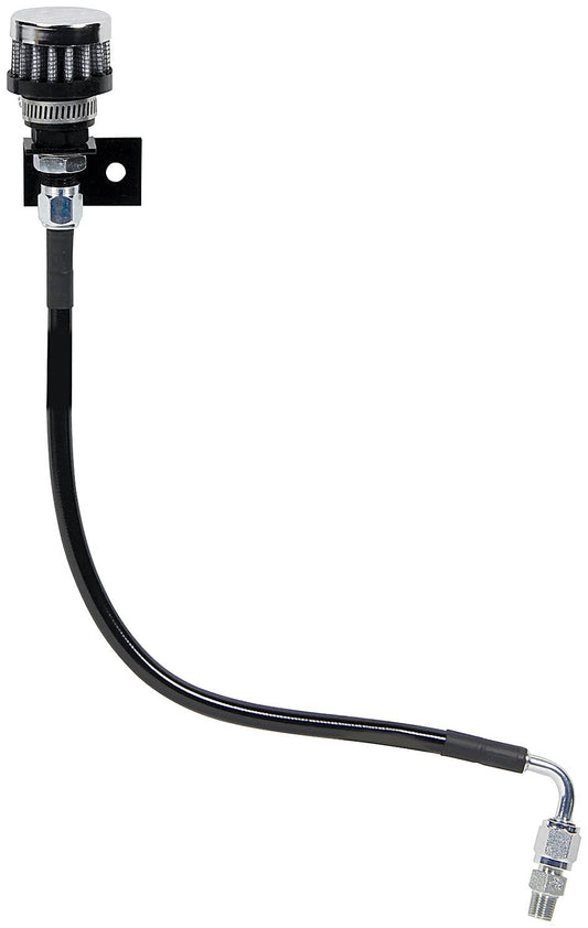 ALL36147 ALLSTAR PERFORMANCE