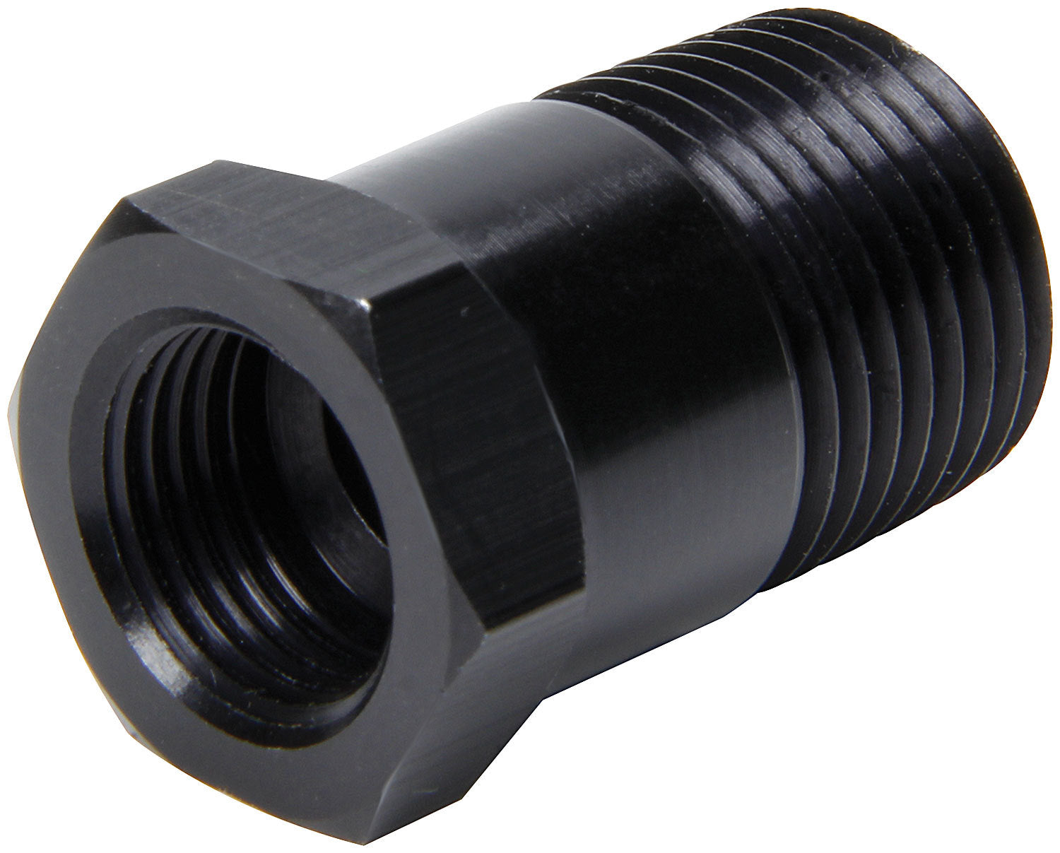 ALL50204 ALLSTAR PERFORMANCE