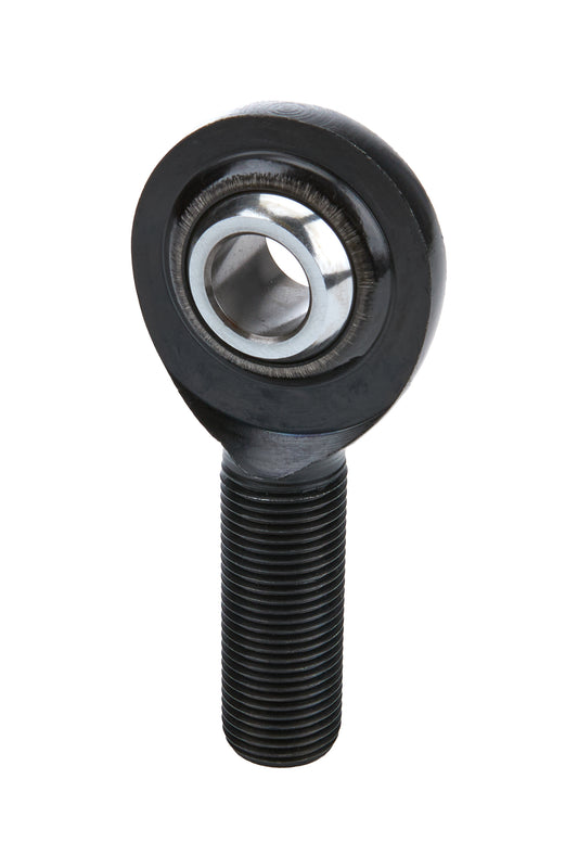 ALL58059 ALLSTAR PERFORMANCE