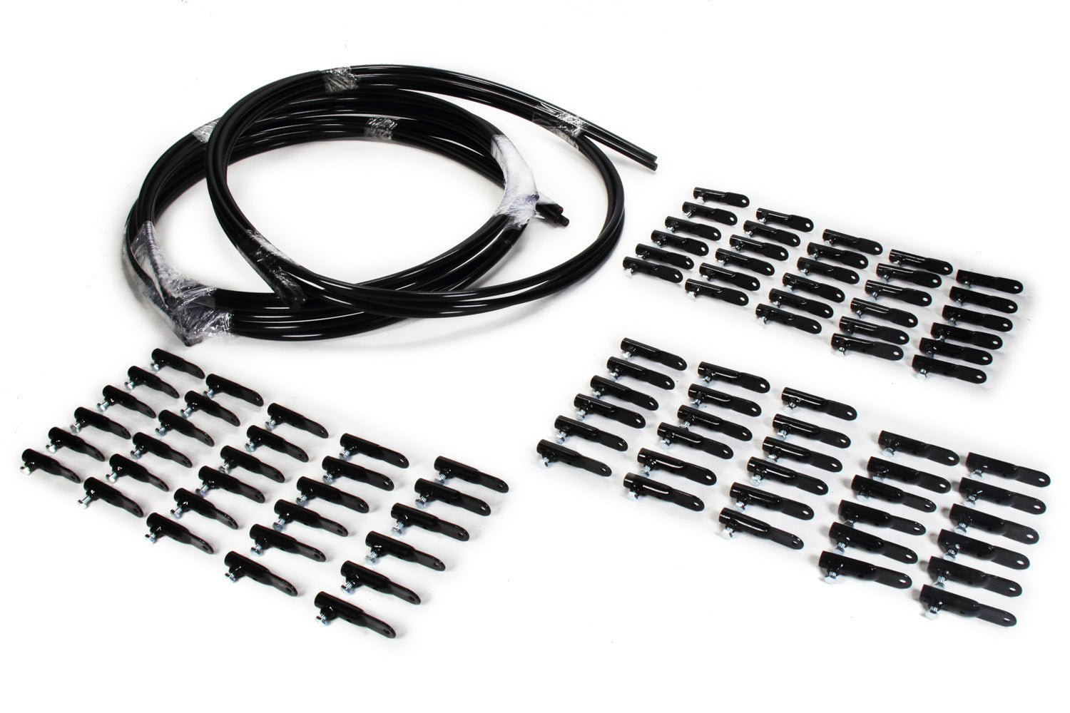 50216 AR BODIES
