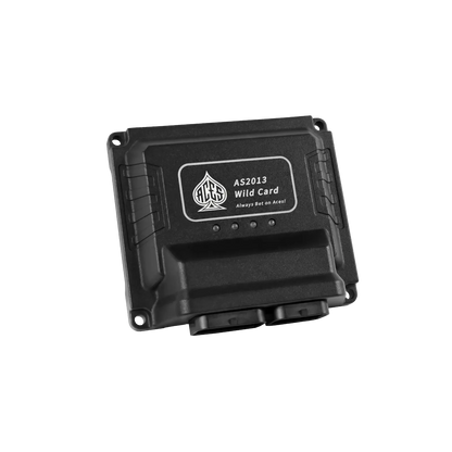 Wild Card 2 EFI - Top End Kits