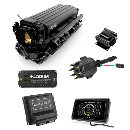 Wild Card 2 EFI - Top End Kits