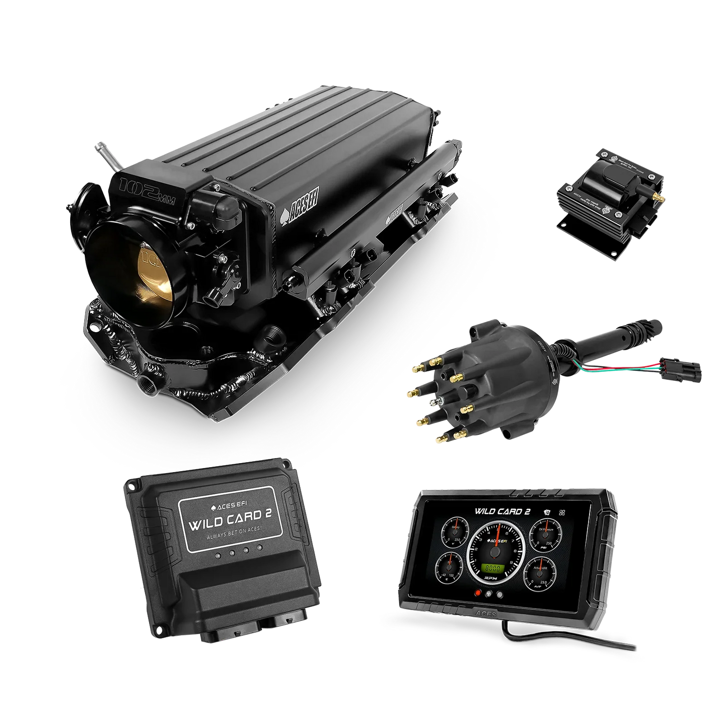 Wild Card 2 EFI - Top End Kits