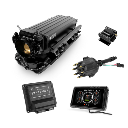 Wild Card 2 EFI - Top End Kits