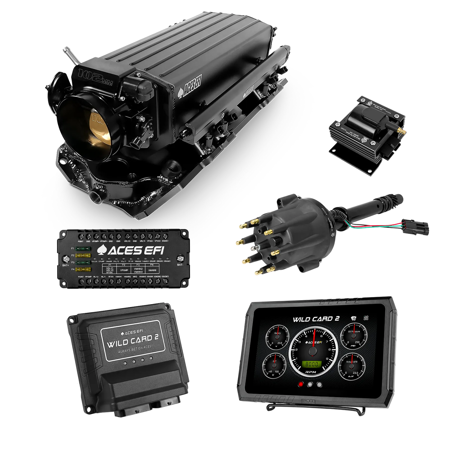 Wild Card 2 EFI - Top End Kits