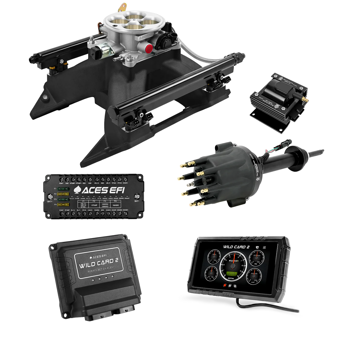 Wild Card 2 EFI - Top End Kits