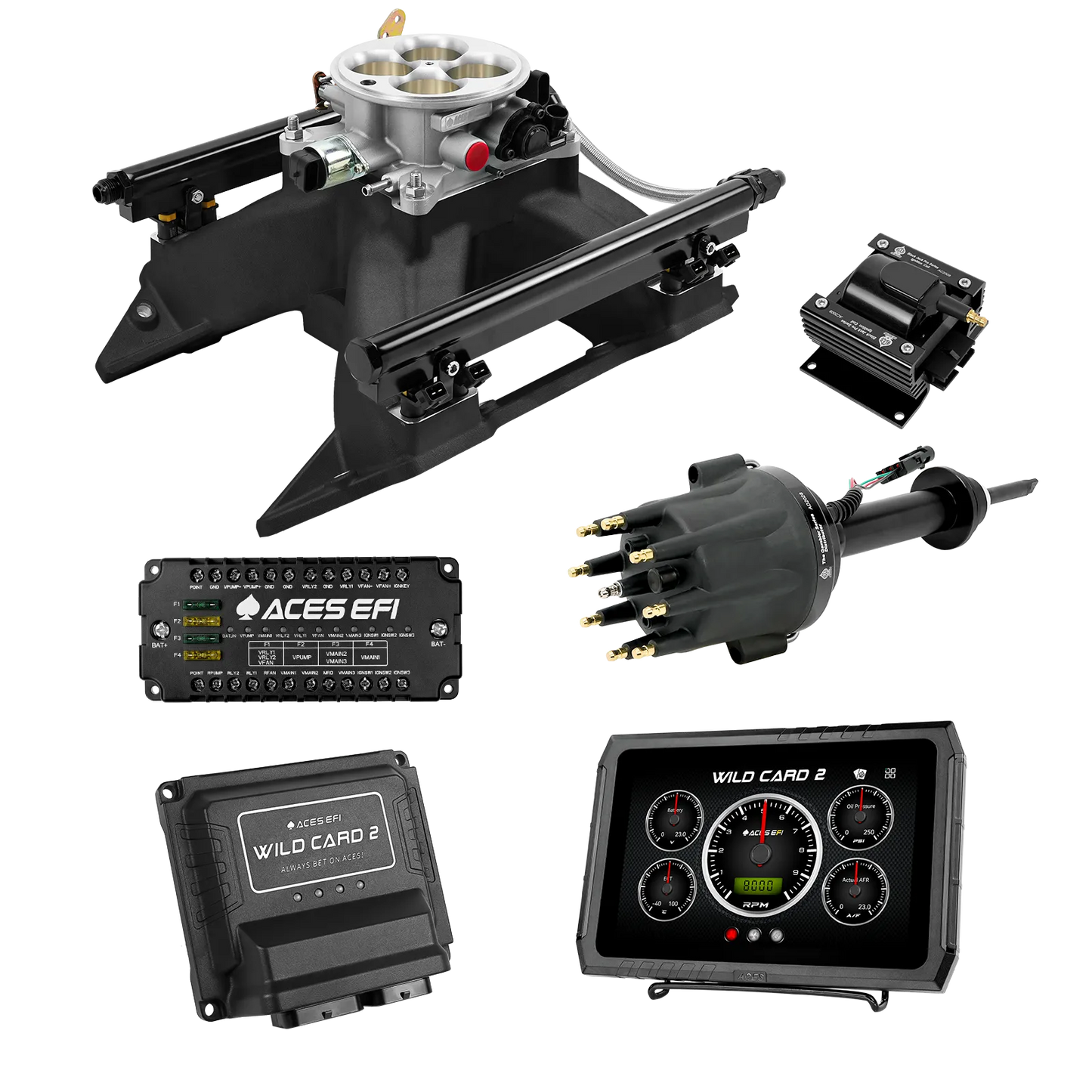 Wild Card 2 EFI - Top End Kits
