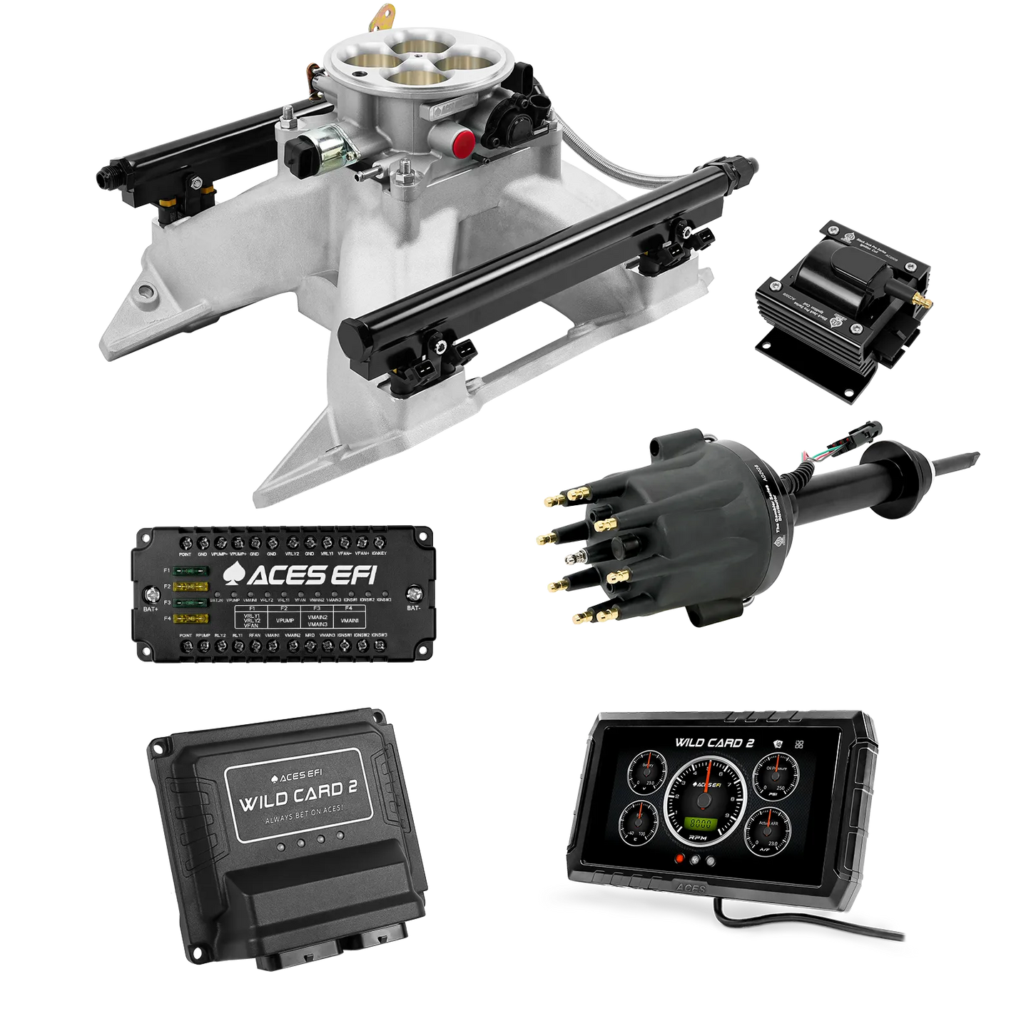 Wild Card 2 EFI - Top End Kits
