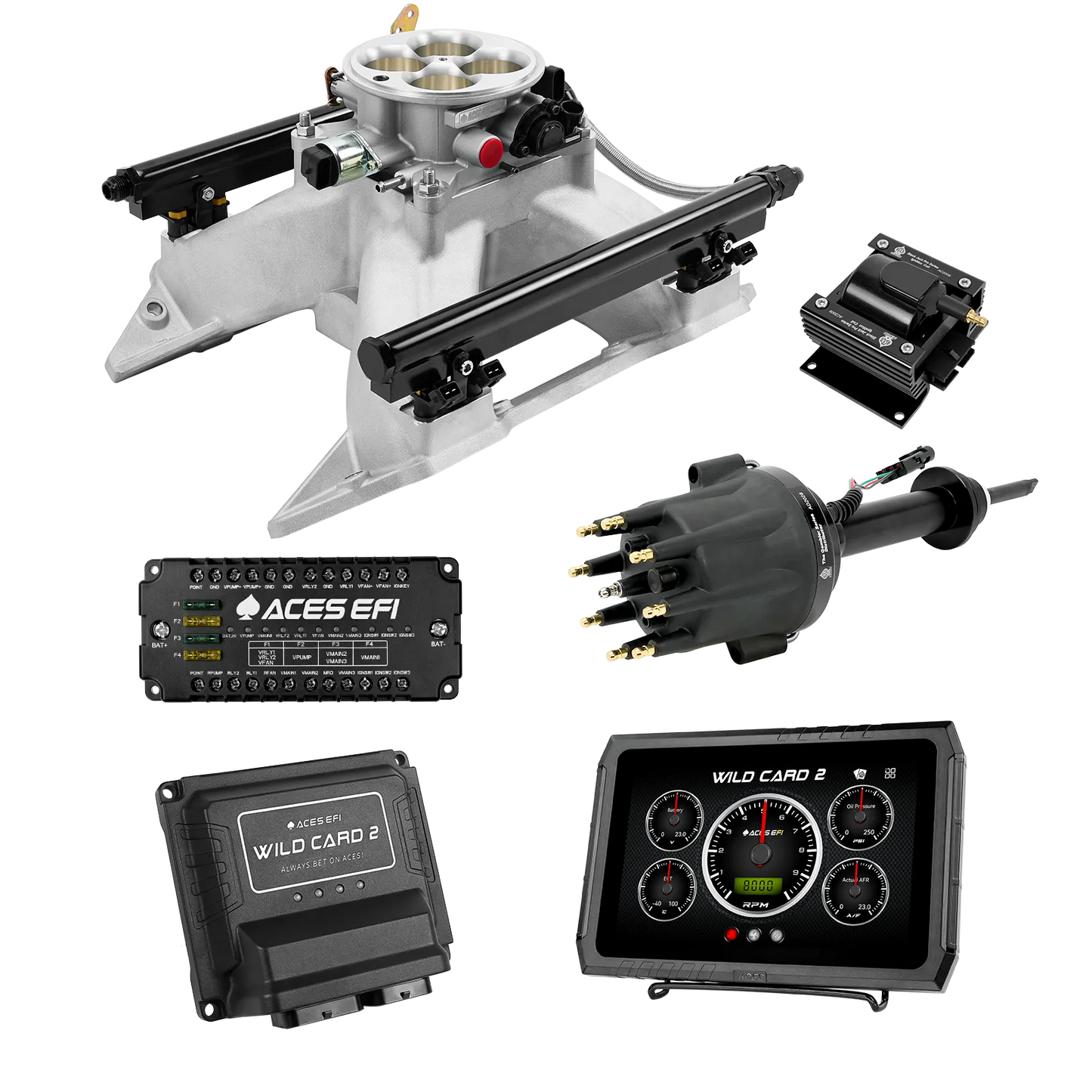 Wild Card 2 EFI - Top End Kits