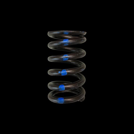 Brian Crower BC1250-1 - Valve Spring - Single (Nissan TB48) - 1 only