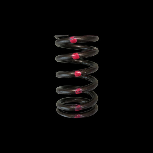 Brian Crower BC1200-1 - Valve Spring - Single (Nissan SR20DE-T) - 1 only