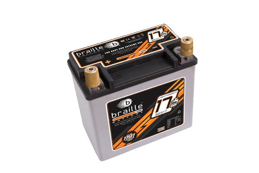 B2317 BRAILLE AUTO BATTERY