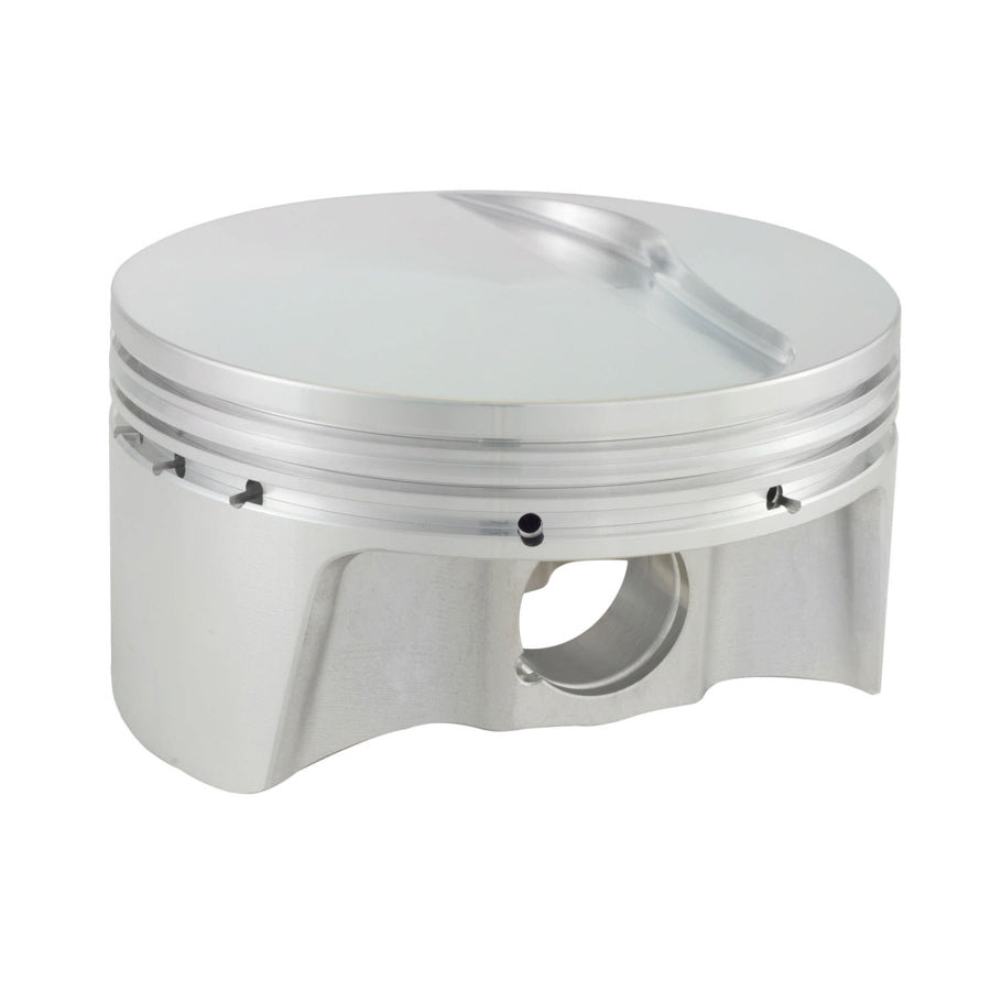 BLS1009-007-8 BULLET PISTONS