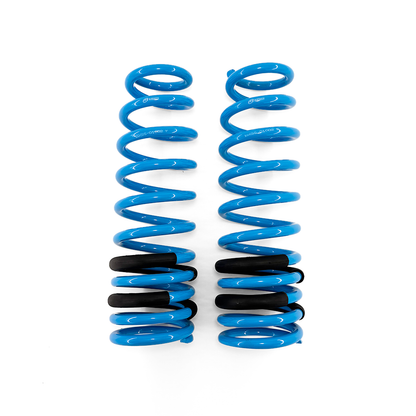 BLOX Racing Lowering Springs - 96-00 Civic
