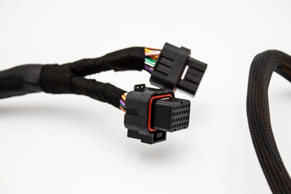 Budget Fueltech Fuel tech FT550 K Series Standalone Honda K20 K24 Jumper Adapter Sub Harness