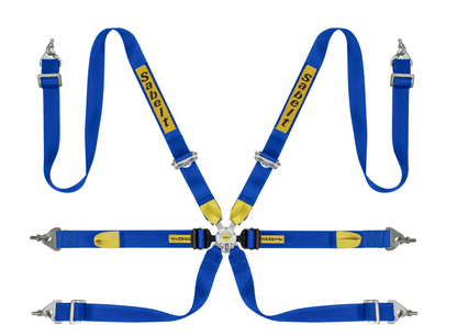 Sabelt Enduro Series Silver 6-Point Harness