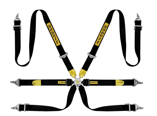 Sabelt Enduro Series Silver 6-Point Harness