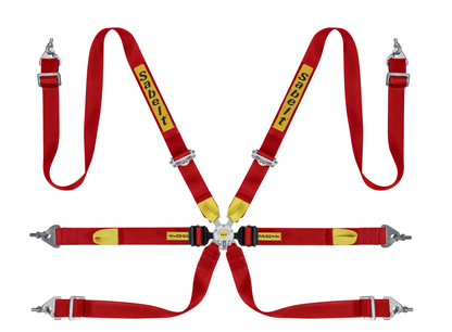 Sabelt Enduro Series Silver 6-Point Harness