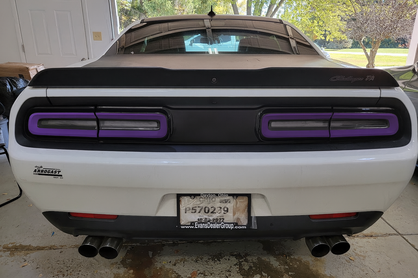 15-23 Dodge Challenger Colored Taillight Tint Overlay
