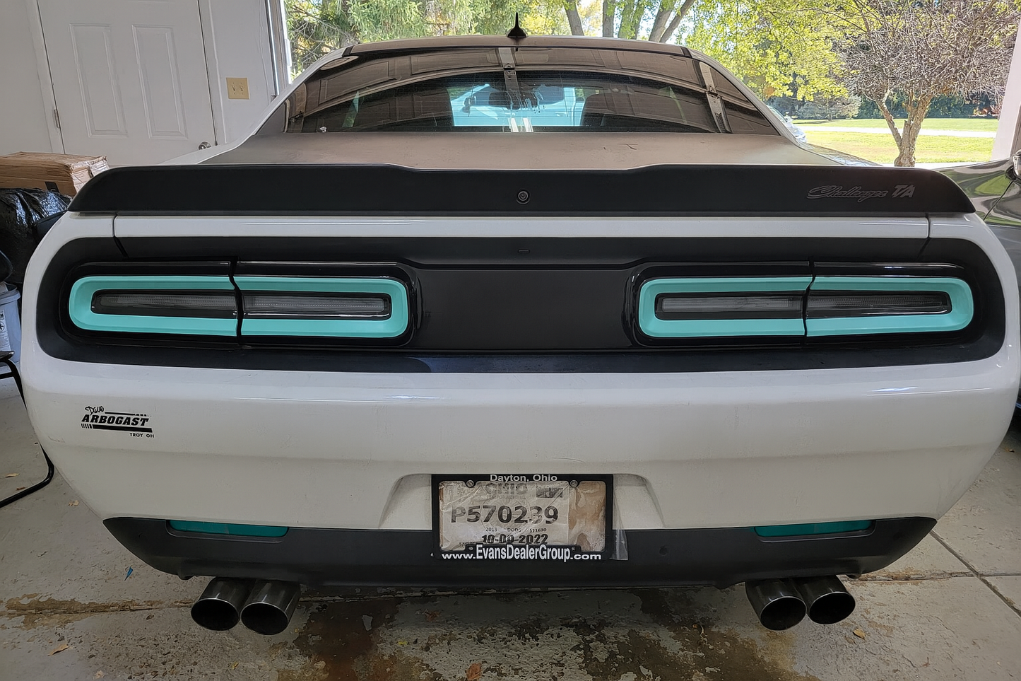 15-23 Dodge Challenger Colored Taillight Tint Overlay