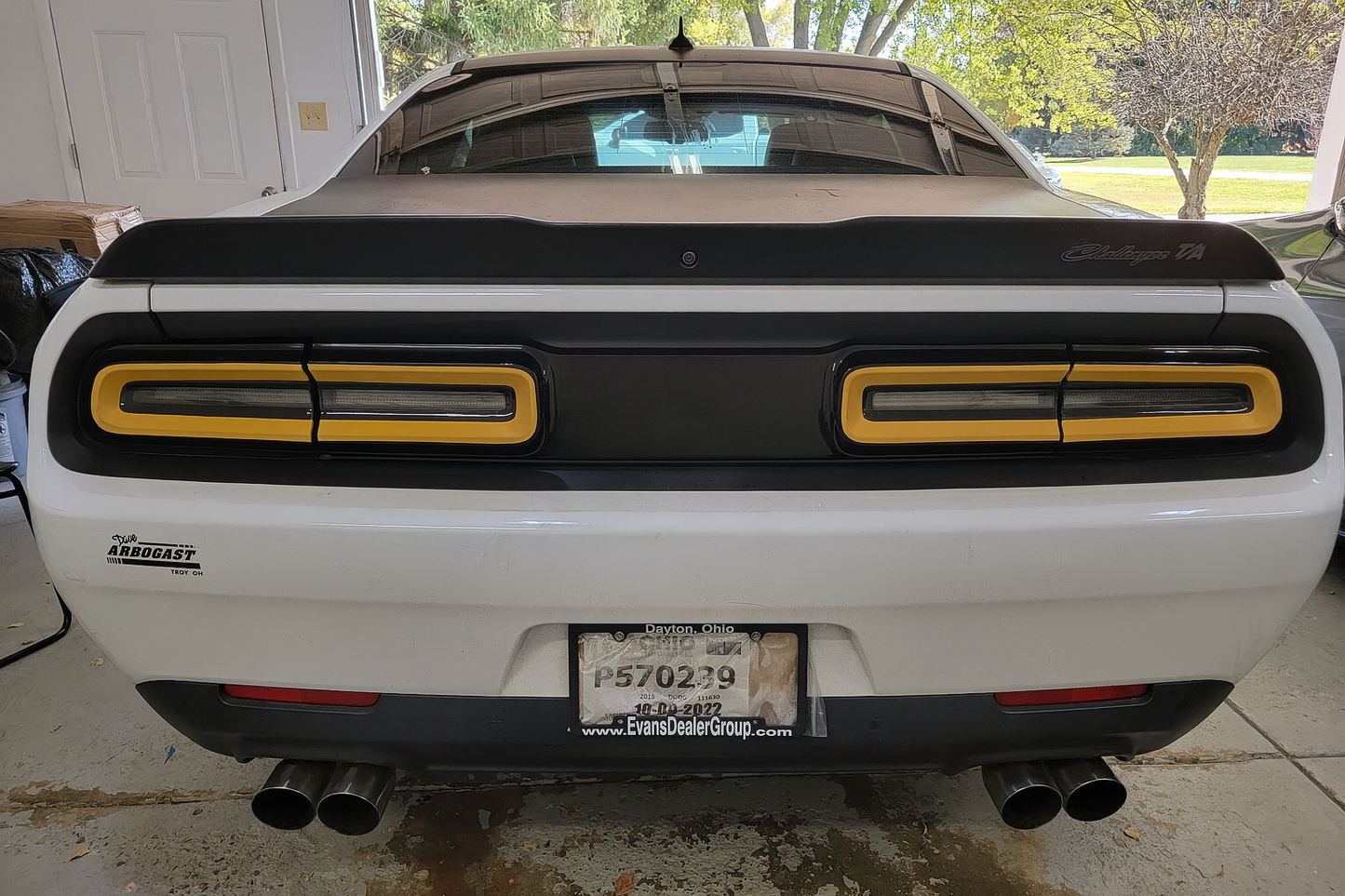 15-23 Dodge Challenger Colored Taillight Tint Overlay