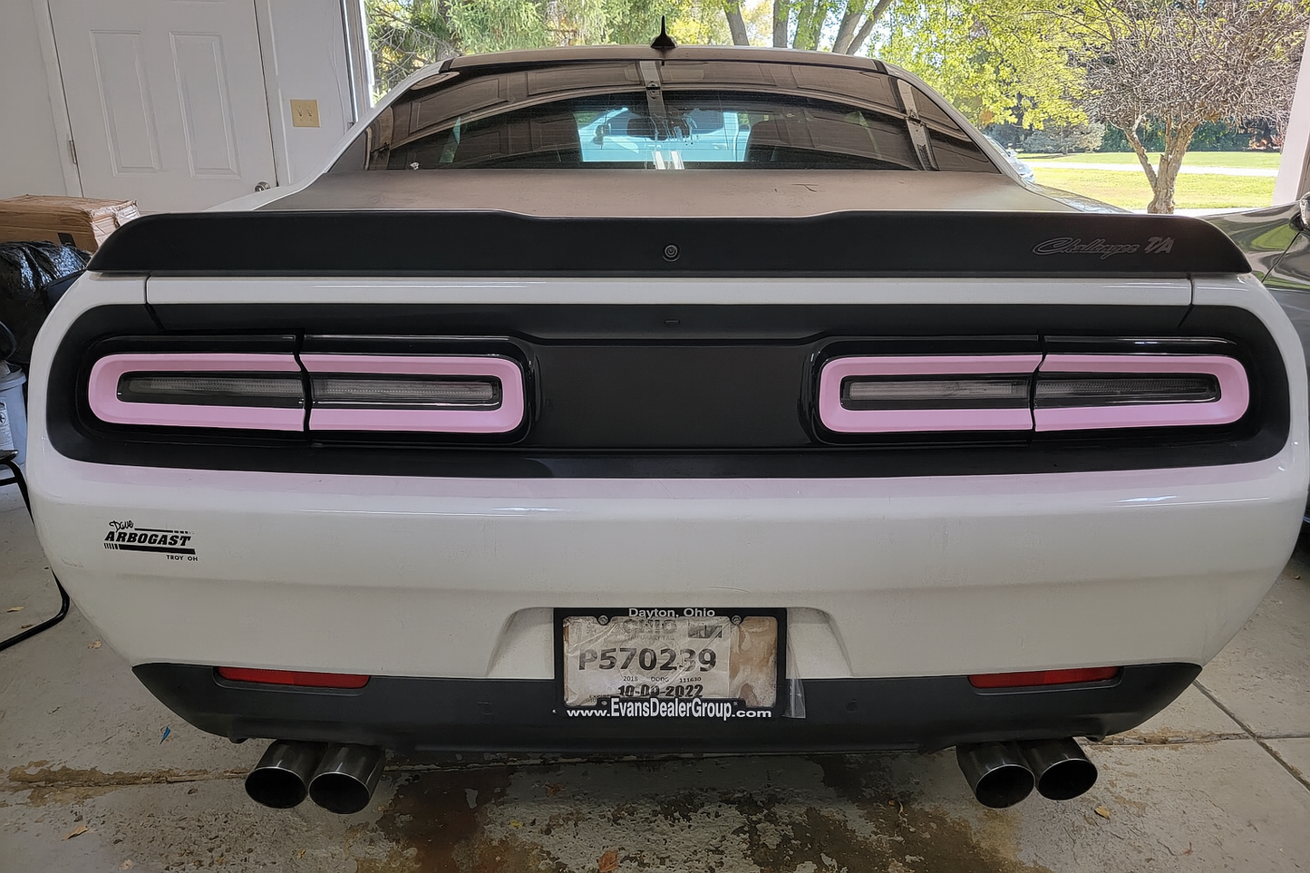 15-23 Dodge Challenger Colored Taillight Tint Overlay