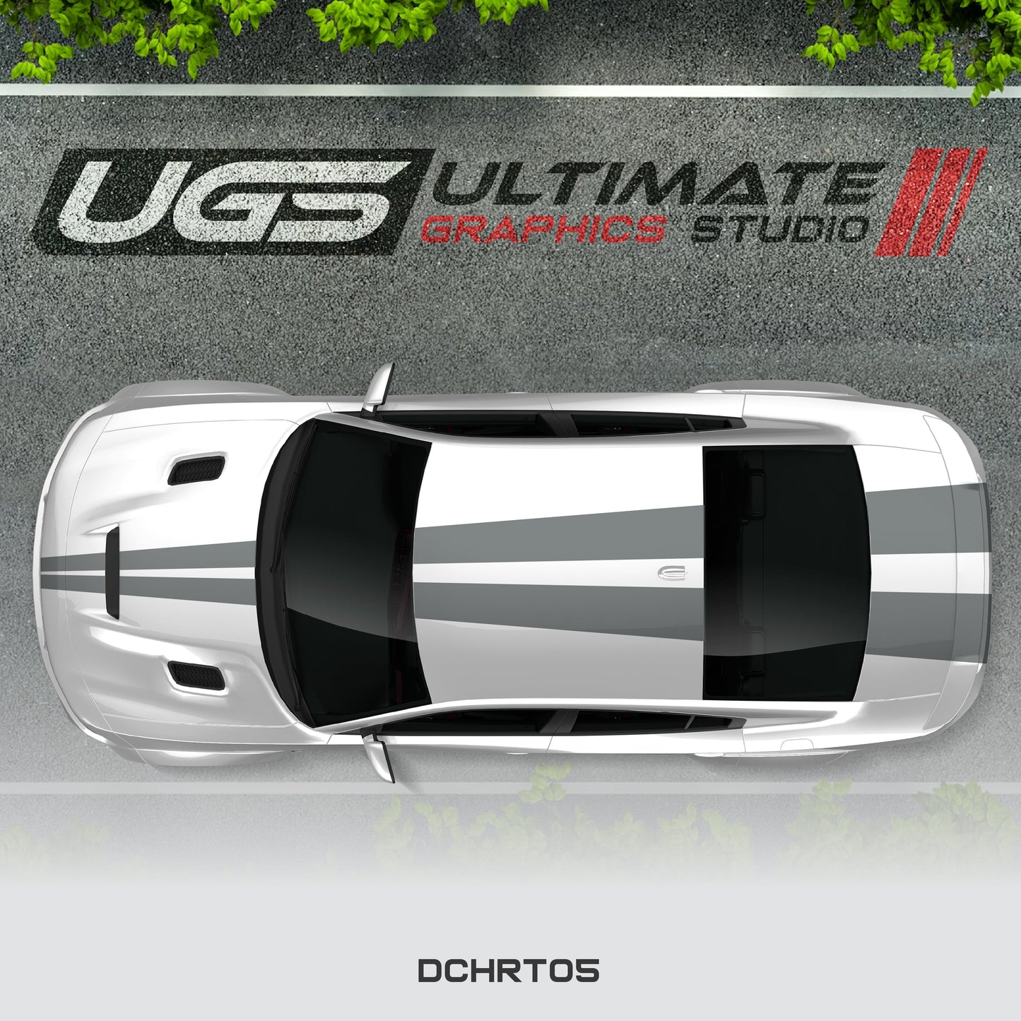 Dodge Charger Top 2 Stripes 1 Color