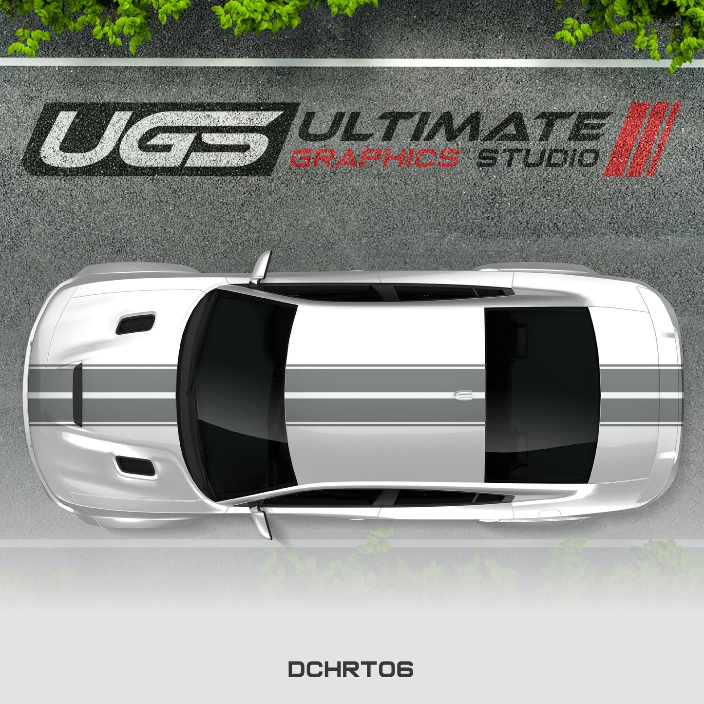 Dodge Charger Top 2 Stripes