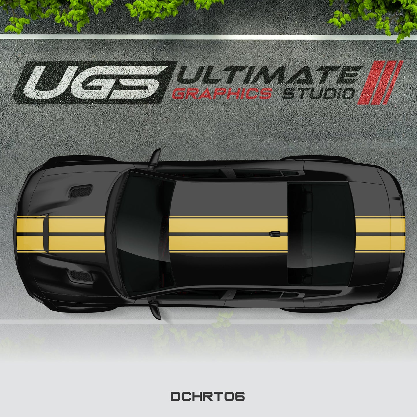 Dodge Charger Top 2 Stripes